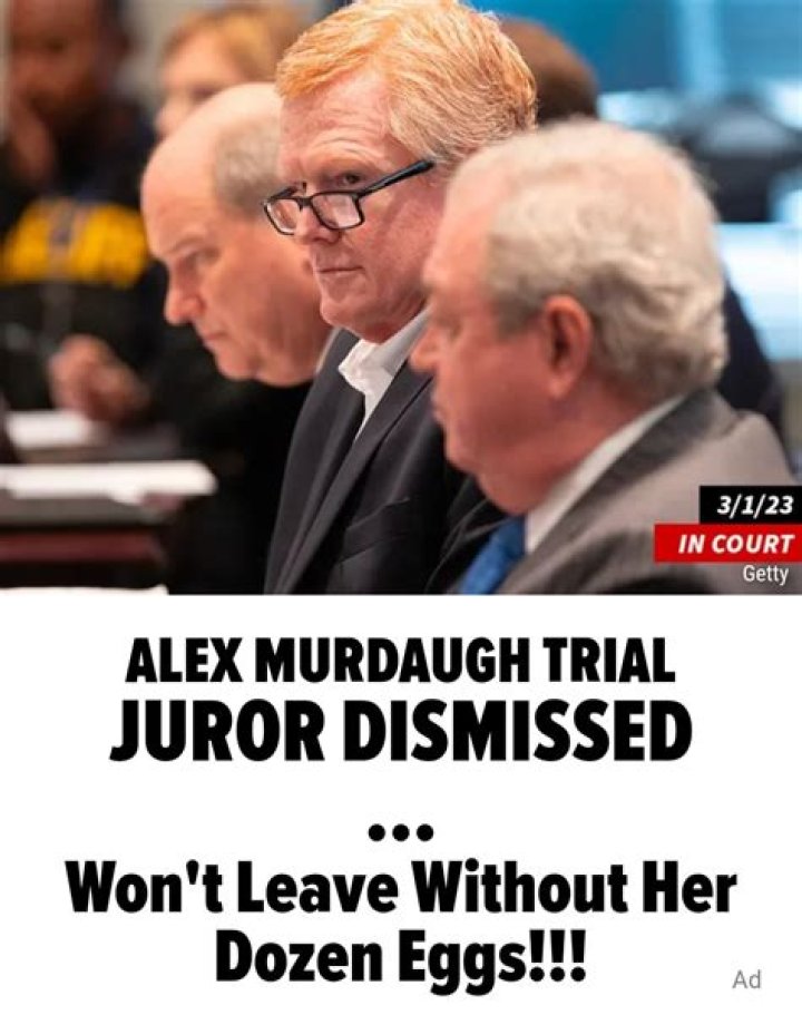 
Alex Murdaugh juror requests to retrieve dozen eggs from jury room before being dismissed by judge 