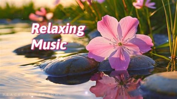 
Alikoto Calms The Mind And Soul With His Music 