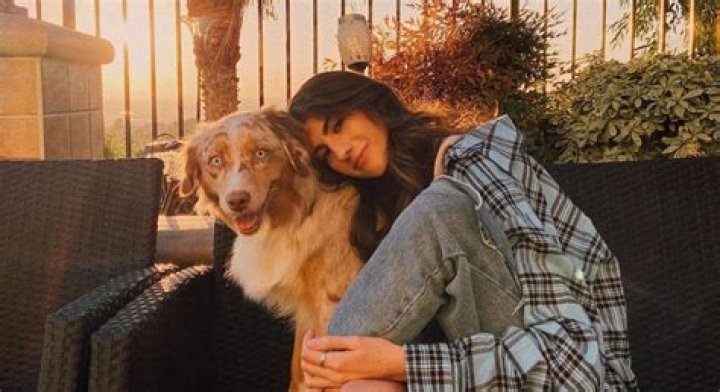 
Amani Alzubi Height, Weight, Net Worth, Age, Wiki, Who, Instagram, Biography 