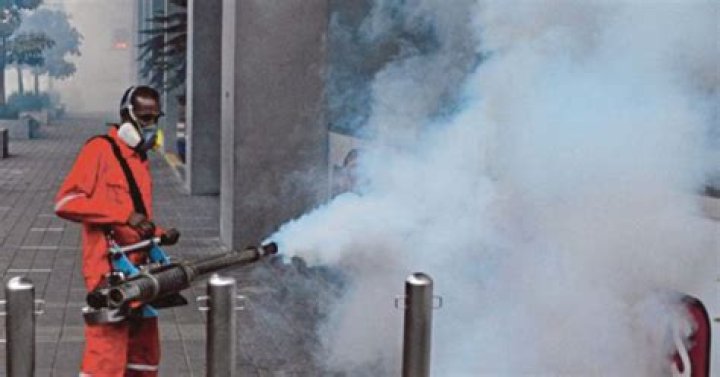 
Bangladesh reports highest single-day dengue cases 