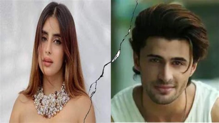 
Bigg Boss 15 fame couple Miesha Iyer and Ieshaan Sehgaal part ways 