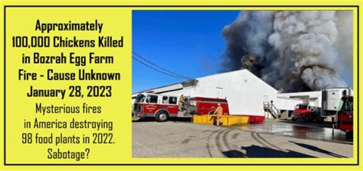 
Bozrah Chicken egg farm fire: Investigation underway as 100,000 chickens reportedly die 