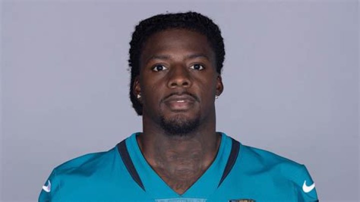 
D’Ernest Johnson Height, Weight, Net Worth, Age, Birthday, Wikipedia, Who, Nationality, Biography 