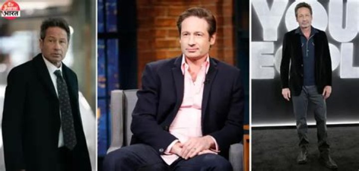 David Duchovny Height, Weight, Net Worth, Age, Birthday, Wikipedia, Who, Nationality, Biography