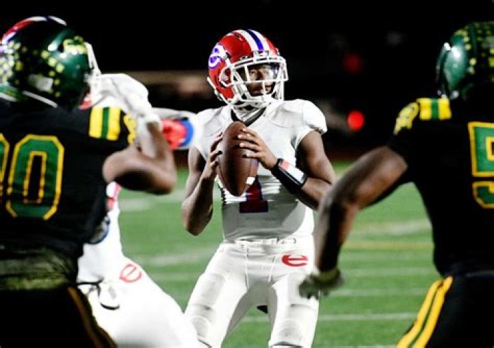 
Gino Guidugli Brother Benjamin Guidugli Is A Former American Football Fullback 