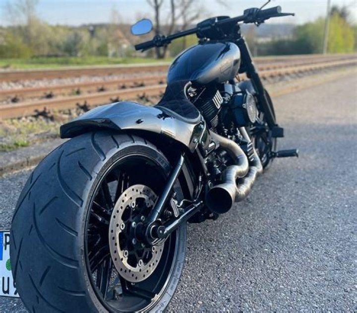 
Harley Breite Age, Birthday, Wikipedia, Who, Nationality, Biography 