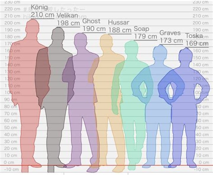 Harry König Height, Weight, Net Worth, Age, Birthday, Wikipedia, Who, Nationality, Biography