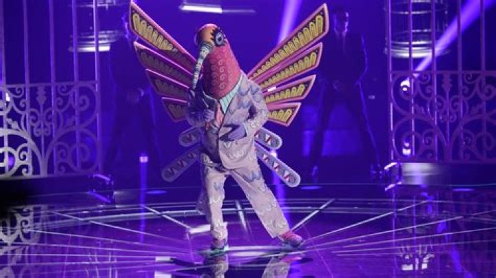 
Hummingbird on ‘The Masked Singer’ Could Be Anyone — Here Are Our Best Guesses 