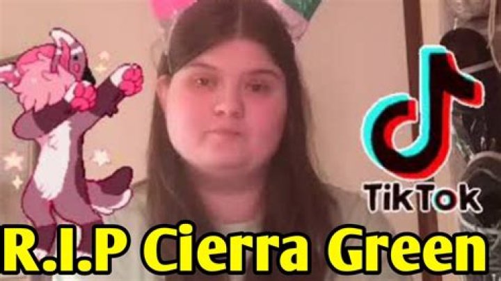 Icierra TikTok Wikipedia, Who, Nationality, Biography