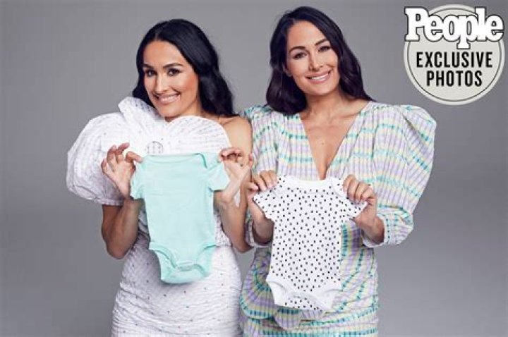 
Is Brie Bella Pregnant Again 2022? Baby Update – Partner And Family 