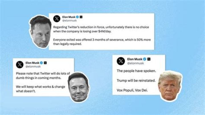 
Is Elon Musk Recent Tweets Related To John McAfee? People Worried About Him 