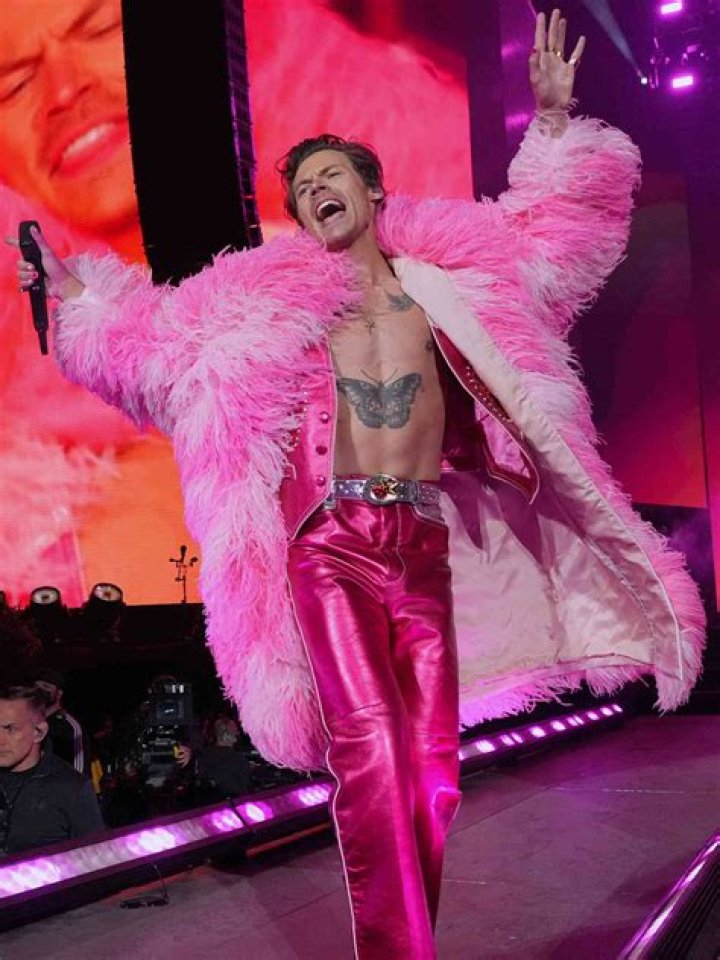 
Is Harry Styles A Smoker? Here’s All You Need To Know About Him Trying Drugs! 