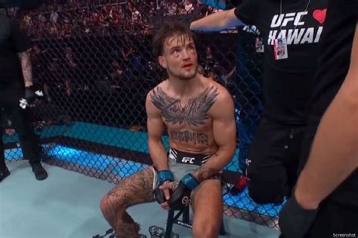 
Jarno Errens Height, Weight, Net Worth, Age, Birthday, Wikipedia, Who, Nationality, Biography 