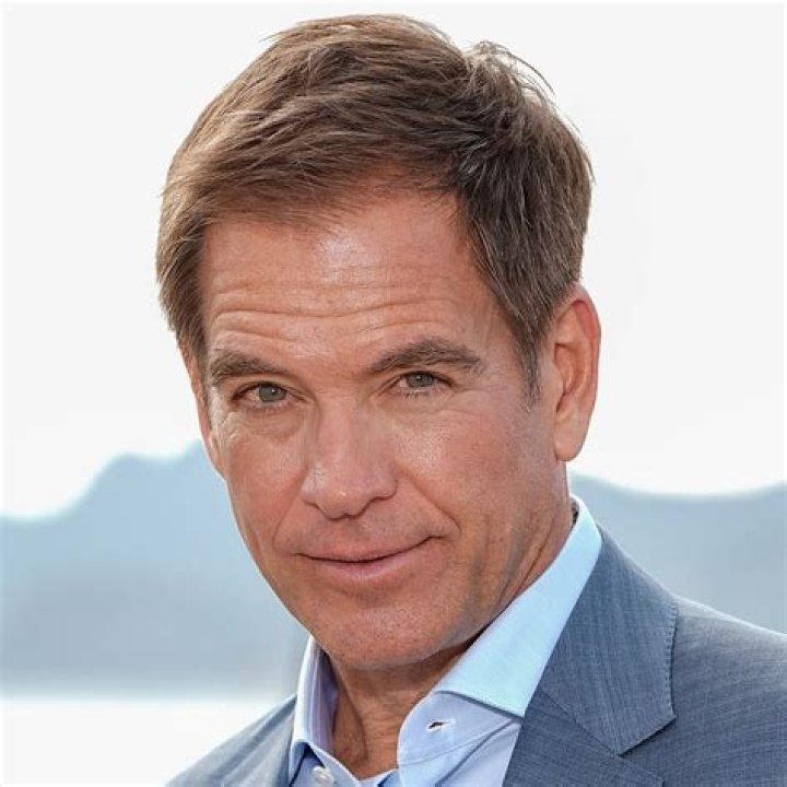 
Michael Weatherly Age, Birthday, Wikipedia, Who, Nationality, Biography 