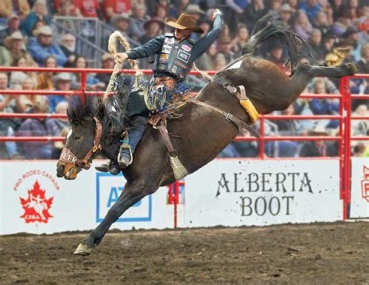 
Ponoka Stampede Accident: Female Volunteer Was Killed By Horses In Central Alberta Rodeo 