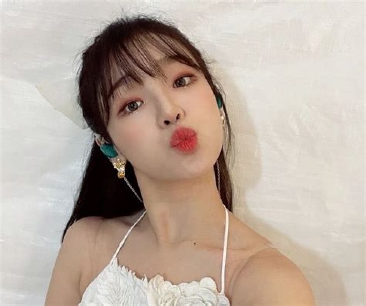 
Seunghee Height, Weight, Net Worth, Age, Birthday, Wikipedia, Who, Nationality, Biography 