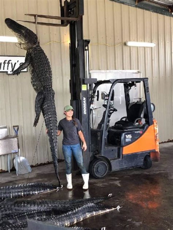 
Thatll.work Height, Weight, Net Worth, Age, Birthday, Wikipedia, Who, Nationality, Biography 