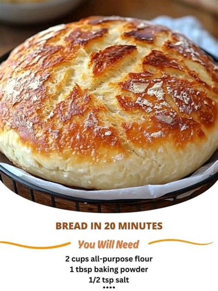 
The OC Thanksgiving Episodes Make A Perfect Recipe For A Fun Holiday Season 