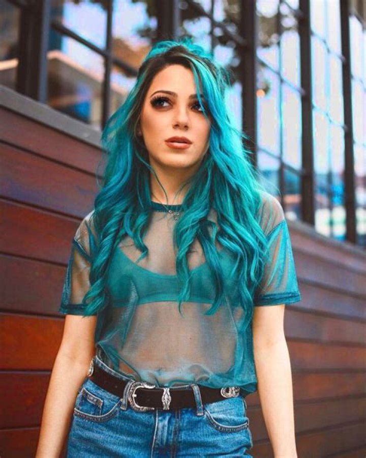 
The Untold Truth Of Gabi Demartino’s Sister – Niki Demartino 