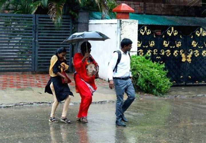 
TN govt gears up for North East monsoon, asks district collectors to coordinate 