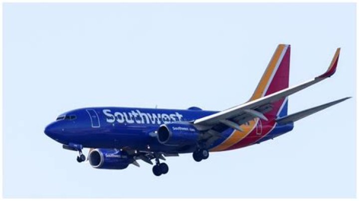 
Viral video shows wild brawl breaking out in Southwest Airlines Dallas to Phoenix flight 