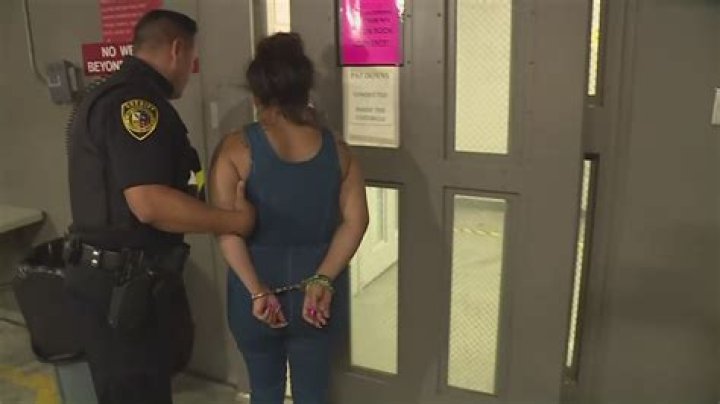 
Was Pamela Castillo Arrested For Breaking and Entering? Is She In Jail? 