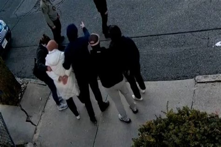 
WATCH: California teen arrested as video showing violent puppy-snatching incident goes viral online 