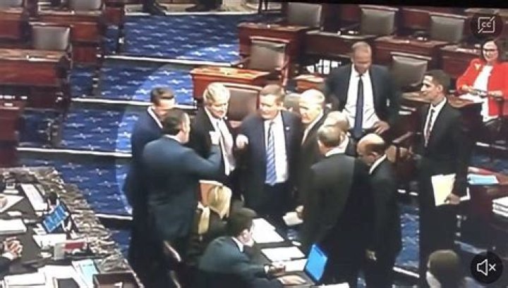 
WATCH: Video of Ted Cruz fist bumping fellow Republicans after blocking the PACT Act leaves internet livid 