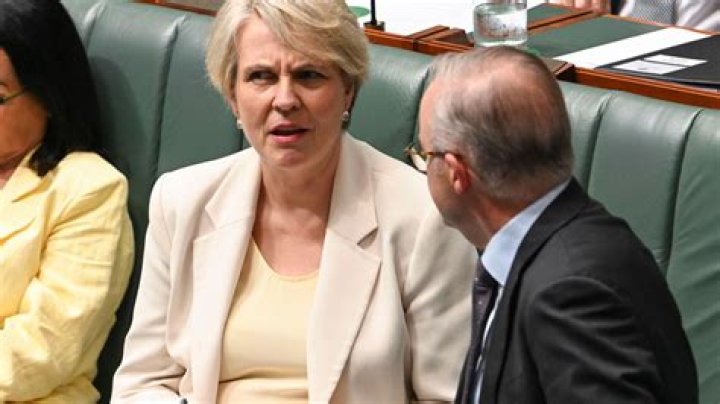 
What Happened To Tanya Plibersek? Apology Of Deputy Leader Of The Labor Party 