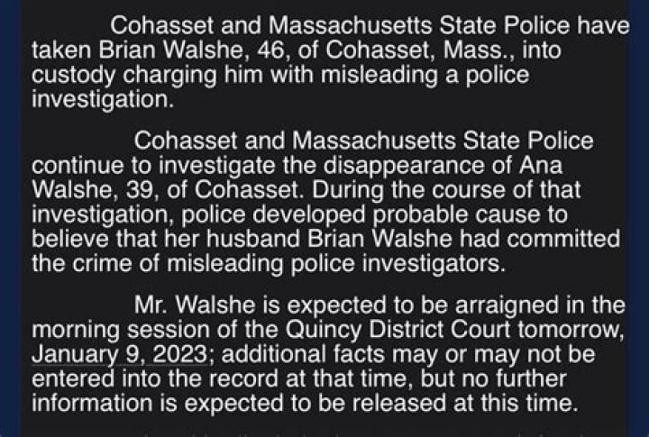 
Who is Brian Walshe? Missing woman Ana Walshe’s husband arrested over misleading police 