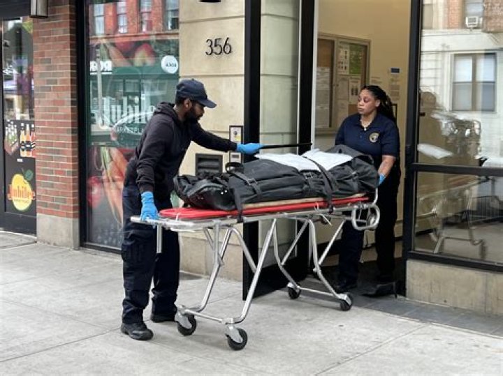 
Who was Theresa Gregg? DHS police officer found stabbed to death in Brooklyn apartment 