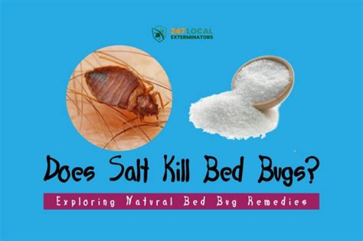 
Will salt water kill bed bugs? 
