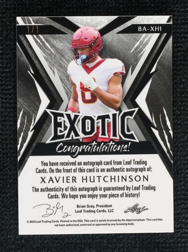 Xavier Hutchinson Age, Birthday, Wikipedia, Who, Nationality, Biography