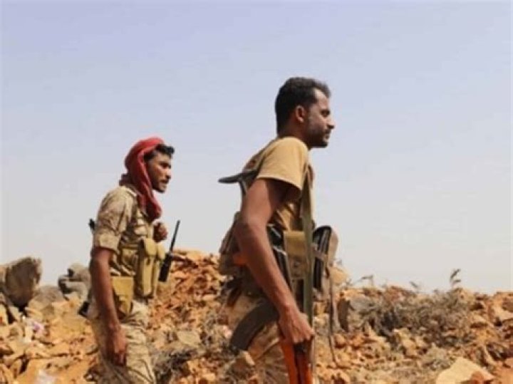 
Yemen govt orders armed forces to raise combat readiness 